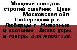 Мощный поводок   строгий ошейник › Цена ­ 1 200 - Московская обл., Люберецкий р-н, Люберцы г. Животные и растения » Аксесcуары и товары для животных   